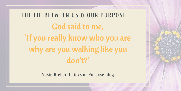 The Lie Between Us & Our Purpose